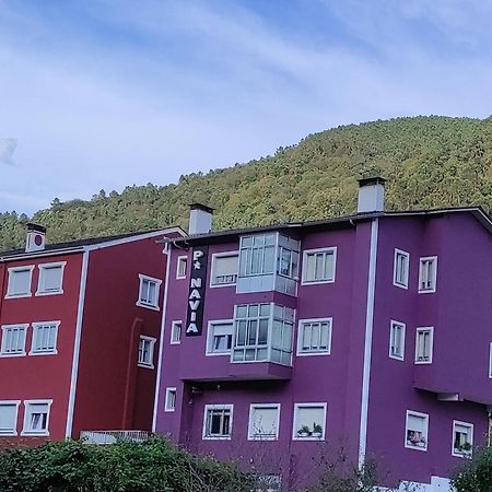 Pension Navia A Pontenova 외부 사진